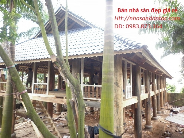 Nhà sàn cũ 7 gian đứng - sân bay Nội Bài ( ảnh 1 )